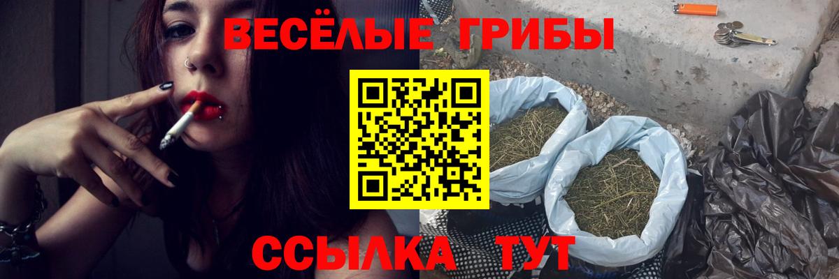 Псилоцибиновые грибы Psilocybine cubensis  Вход с VPN  Ставрополь 